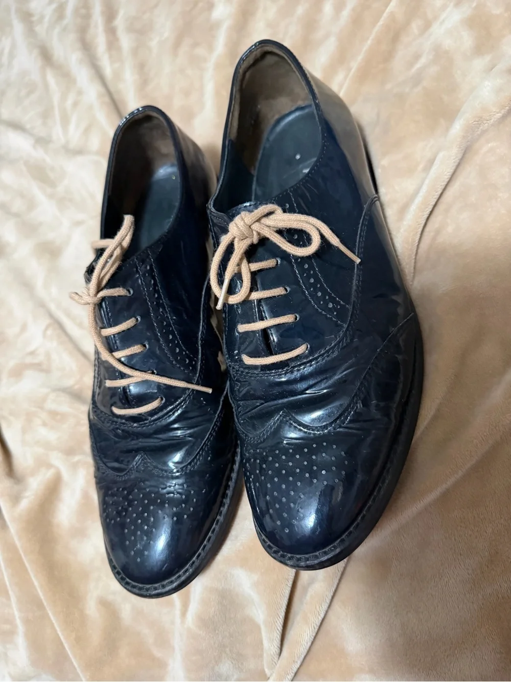 Paul Green Navy Leather Wingtip Oxfords with Tan Laces 4.5